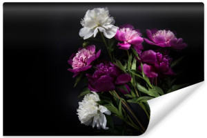 Fototapeta ŚCIENNA do Salonu Efekt 3D Kolorowe PIWONIE 405cm x 270cm