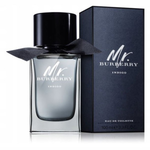 Burberry Mr. Burberry Indigo Edt 100ml