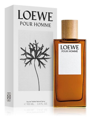 Loewe Loewe Pour Homme Edt 100ml Oryginał
