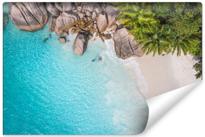 Fototapeta DO SALONU Plaża Ocean Palmy Perspektywa z Góry 368cm x 254cm