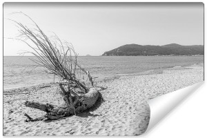 Fototapeta 3D CZARNO BIAŁY Pejzaż Plaża Morze i Piasek 400cm x 280cm