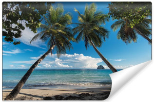 Fototapeta ŚCIENNA 3D Plaża Ocean i Egzotyczne Rośliny 270cm x 180cm