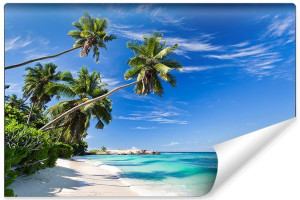 Fototapeta KRAJOBRAZ Tropikalny Plaża Ocean Palmy 3D 405cm x 270cm