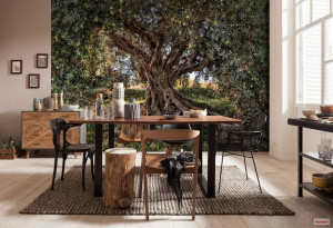 Fototapeta Komar 8-531 Olive Tree (368 x 254 cm)
