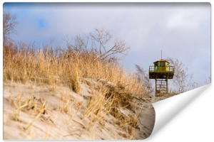 Fototapeta DEKORACYJNA 3D Krajobraz Plaża Natura Rośliny 270cm x 180cm