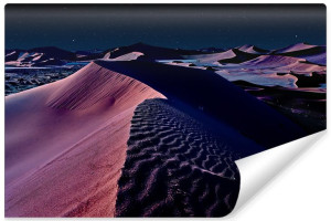 Fototapeta DEKORACYJNA do Salonu 3D Plaża Wydmy Krajobraz 315cm x 210cm