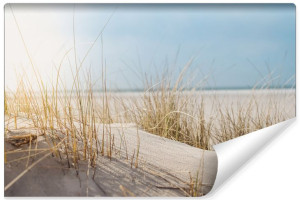 Fototapeta 3D DO SALONU Dzika Plaża Morze Słońce Natura 180cm x 120cm