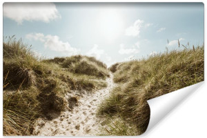 Fototapeta DEKORACYJNA Krajobraz Dzika Plaża Natura 3D 180cm x 120cm