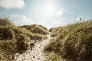Fototapeta DEKORACYJNA Krajobraz Dzika Plaża Natura 3D 368cm x 254cm