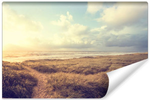 Fototapeta KRAJOBRAZ 3D Dzika Plaża Widok na Morze 405cm x 270cm