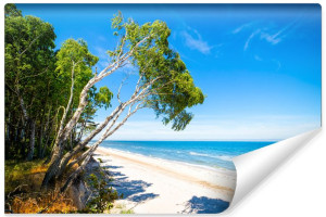 Fototapeta DEKORACYJNA 3D Egzotyczna Plaża Morze i Rośliny 315cm x 210cm
