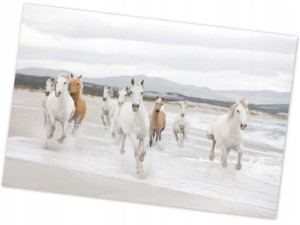 Fototapeta Białe Konie W Galopie Nad Brzegiem Morza 368x254cm