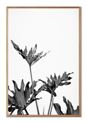 Obraz na płótnie Boho 63x93cm