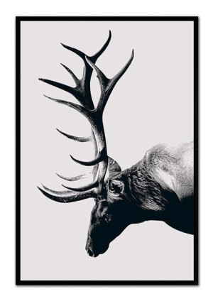 Obraz na płótnie jeleń 63x93cm
