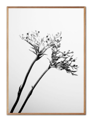 Obraz na płótnie Boho 53x73cm