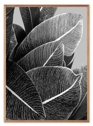 Obraz na płótnie czarno-biały minimalizm 53x73cm
