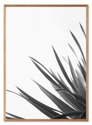 Obraz na płótnie czarno-biały minimalizm 53x73cm