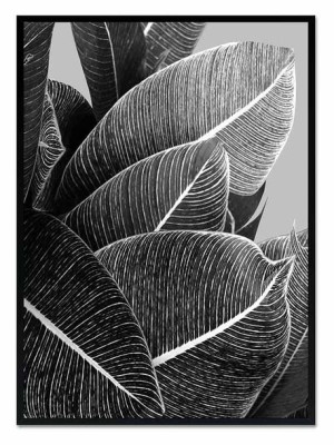 Obraz na płótnie czarno-biały minimalizm 53x73cm