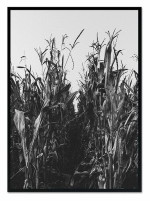 Obraz na płótnie czarno-biały minimalizm 53x73cm