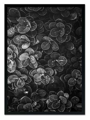 Obraz na płótnie czarno-biały minimalizm 53x73cm