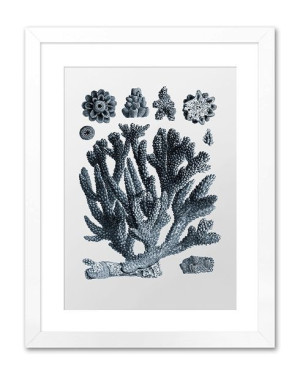Obraz koralowiec 33x43cm