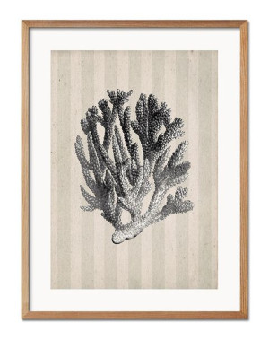 Obraz koralowiec 33x43cm