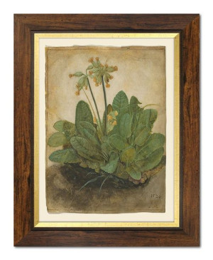 Obraz na płótnie rośliny 37x47cm