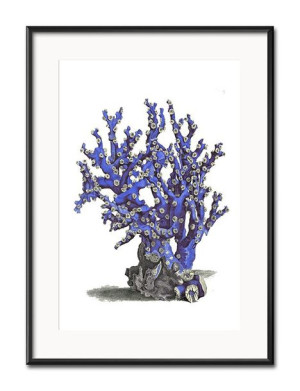 Obraz niebieski koralowiec 31x41cm