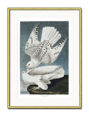 Obraz mewy 31x41cm