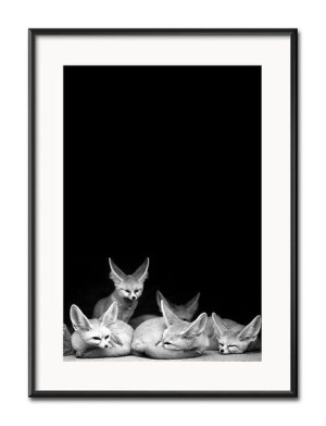 Obraz czarno-biały minimalizm 31x41cm