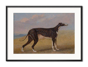 Obrazz psem myśliwskim 31x41cm