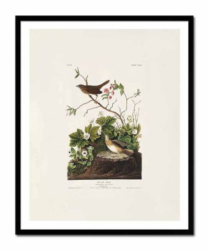 Obraz na płótnie dzikie ptactwo 43x53cm