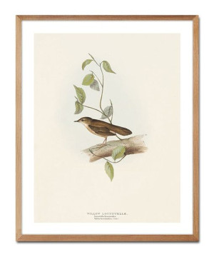 Obraz na płótnie ptak 43x53cm