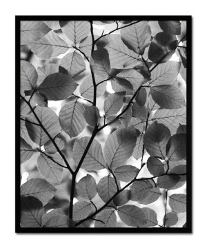 Obraz na płótnie czarno-biały minimalizm 43x53cm
