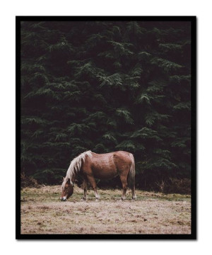 Obraz na płótnie 43x53cm koń