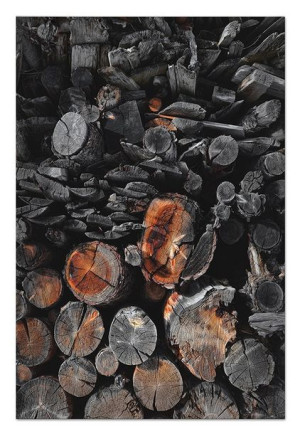 Obraz plakat na płótnie do wnętrz Boho 60x90cm
