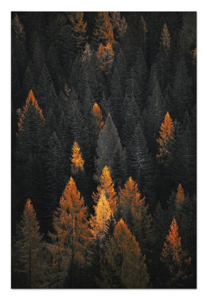 Obraz plakat na płótnie do wnętrz Boho 60x90cm