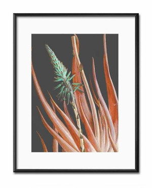 Obraz Boho 21x26cm
