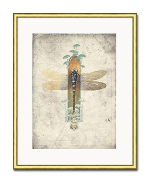 Obraz ważka 21x26cm