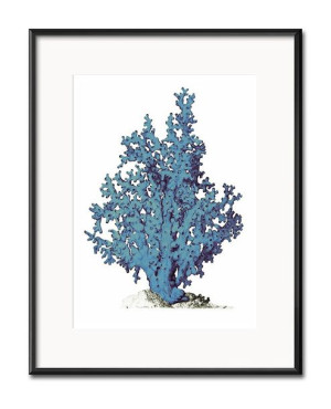 Obraz niebieski koralowiec 21x26cm