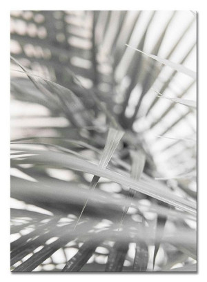 Obraz na płótnie czarno-biały minimalizm 50x70cm