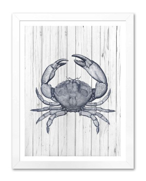 Obraz na płótnie krab 33x43cm