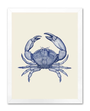 Obraz na płótnie krab 33x43cm