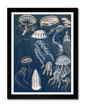 Obraz na płótnie meduzy i koralowce 33x43cm