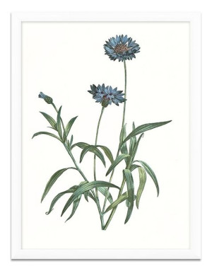 Obraz na płótnie polne kwiaty 33x43cm