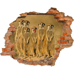 Fototapeta samoprzylepna SURYKATKI Dziura w ścianie EFEKT 3D 125x100cm