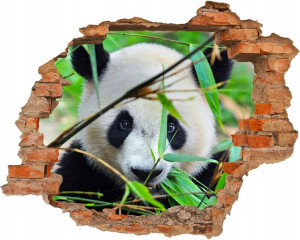 Fototapeta samoprzylepna PANDA WIELKA Dziura w ścianie EFEKT 3D 125x100cm