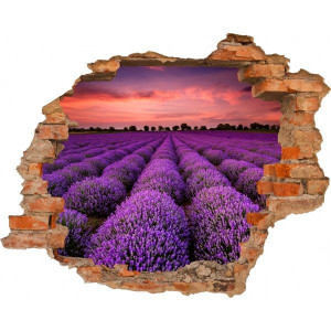Fototapeta samoprzylepna PROWANSJA POLE LAWENDY Dziura w ścianie EFEKT 3D