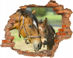 Fototapeta samoprzylepna 3D KONIE KLACZ ŹREBAK Dziura w ścianie EFEKT 3D