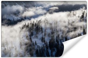 Fototapeta do Sypialni NA ŚCIANĘ Las we Mgle EFEKT 3D 90cm x 60cm